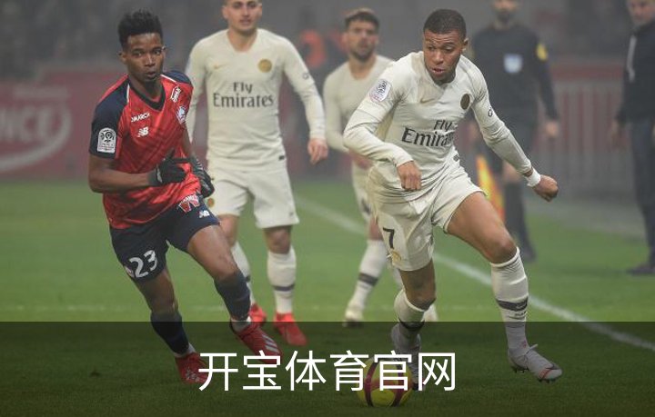 开宝体育官网介绍